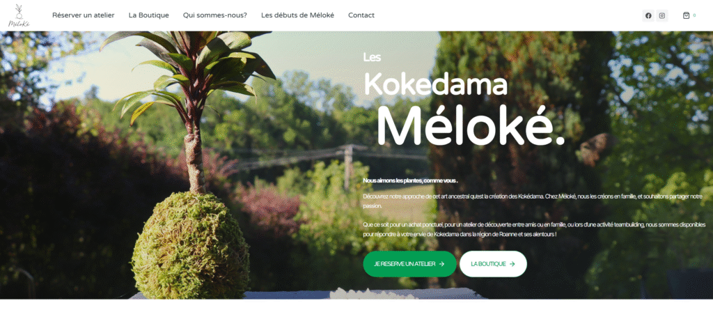 Site Meloke 1